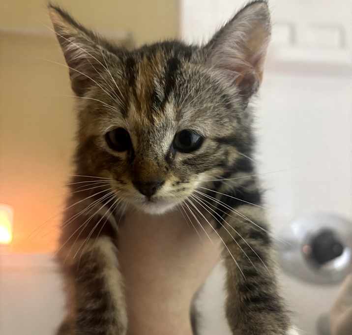 Photo of Sprite