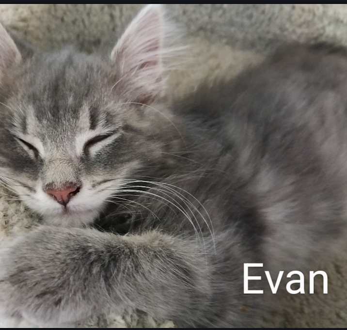 Photo of Evan