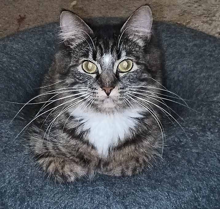 Photo of Star
