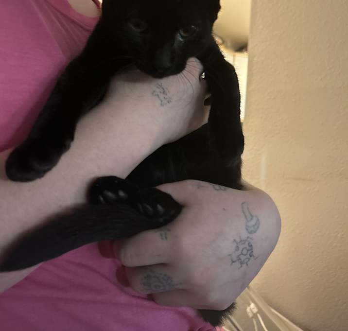 Photo of mushka