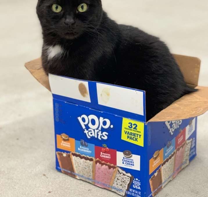 Photo of Velvet