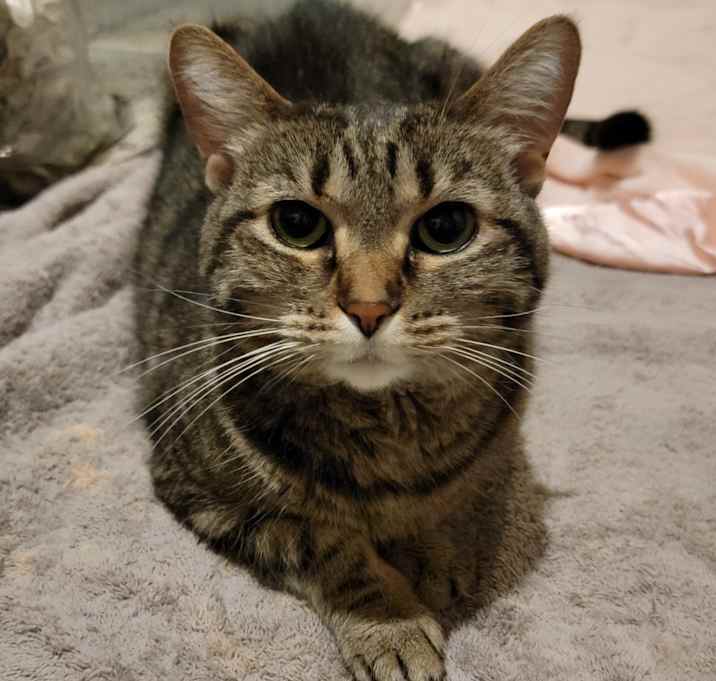 Photo of Minne