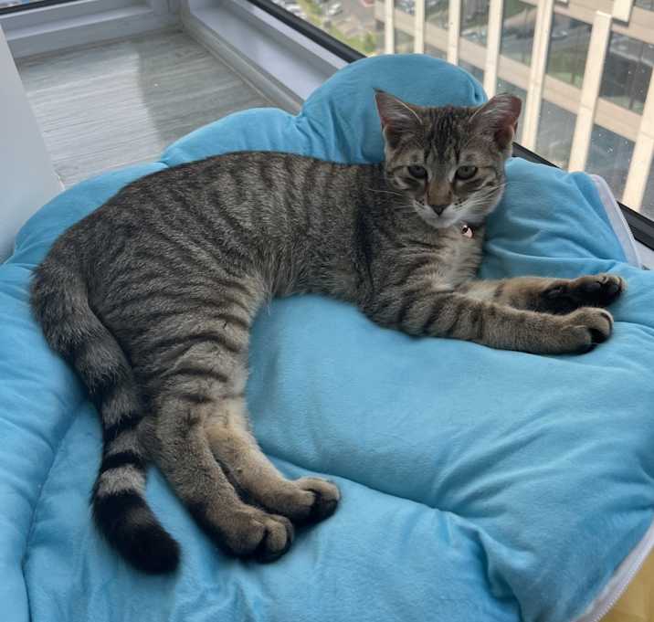 Photo of Azula