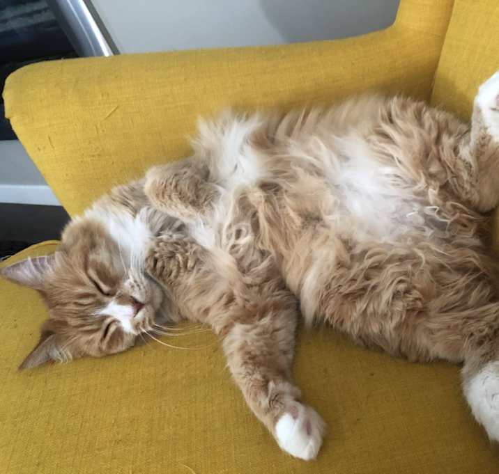 Photo of Wally
