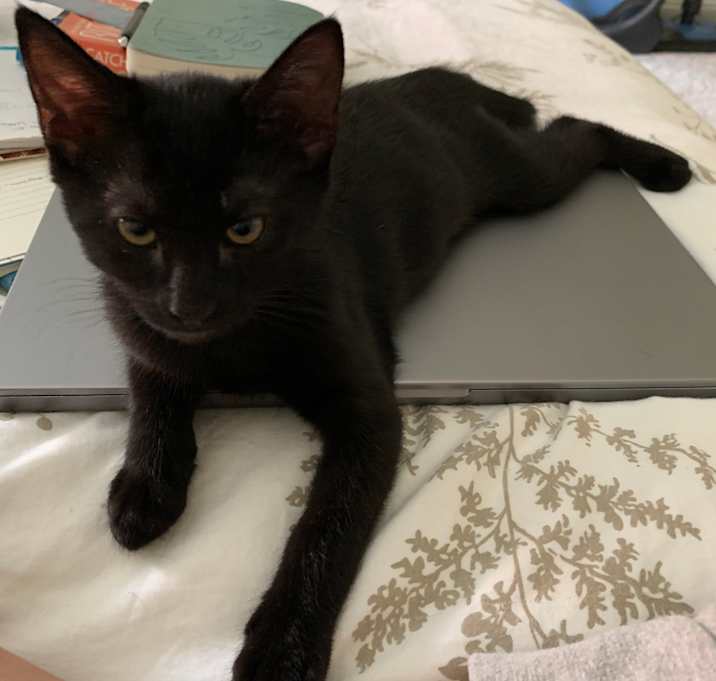 Photo of Zelie
