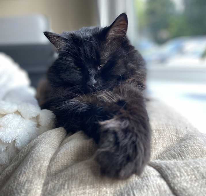 Photo of Macy
