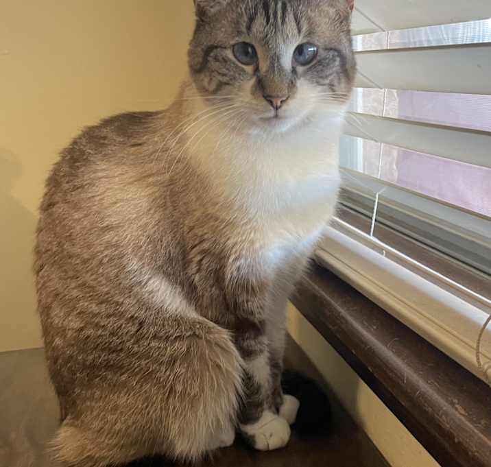 Photo of Pearl