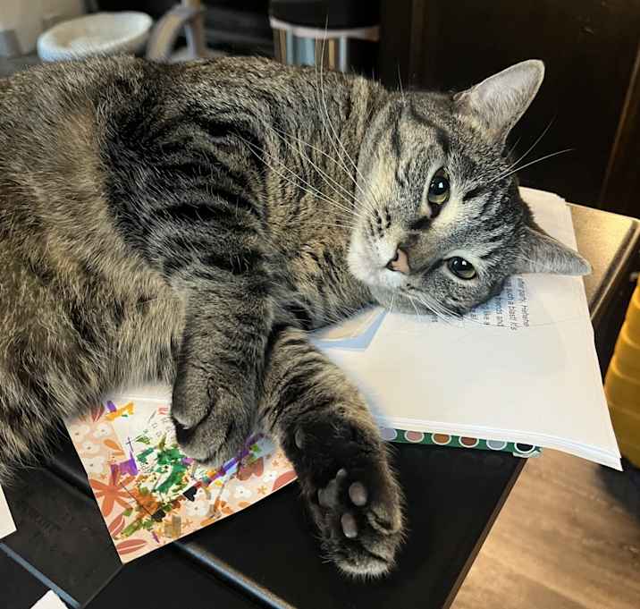 Photo of Luna