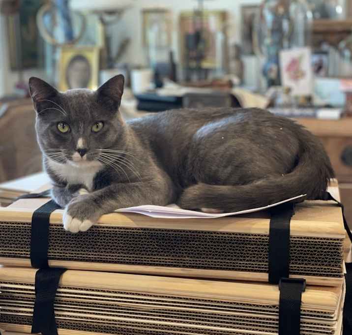 Photo of Grayson