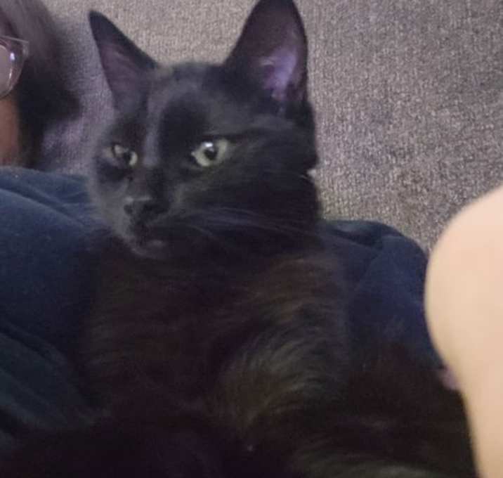 Photo of Feta Courtesy Listing