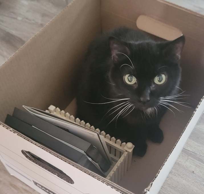 Photo of Tiny
