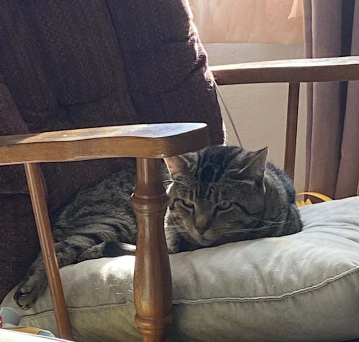 Photo of Runt