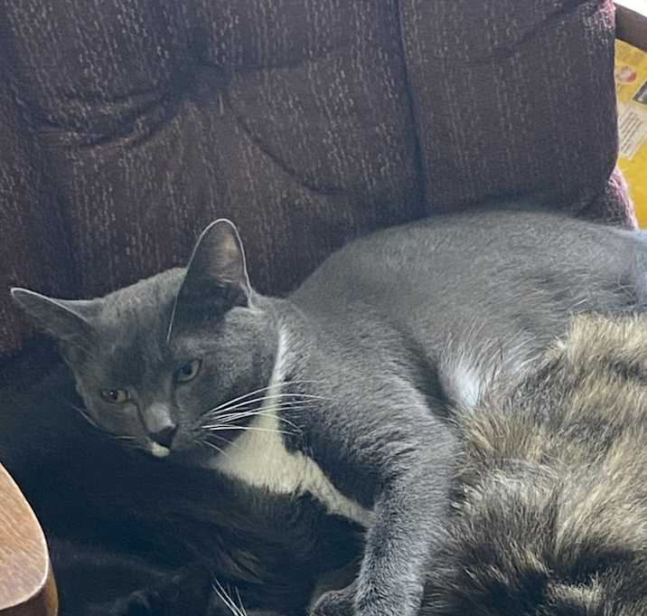 Photo of Boots