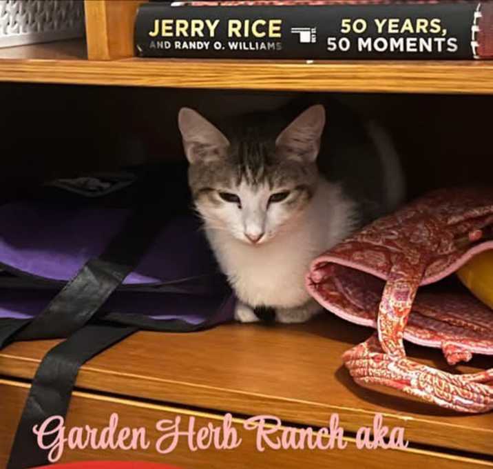 Photo of Garden Herb Ranch