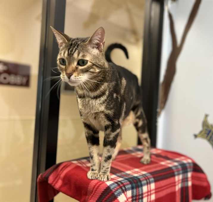 Photo of KOVU