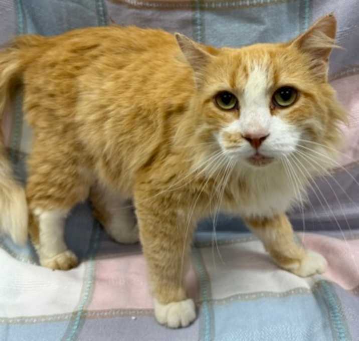 Photo of Timmy
