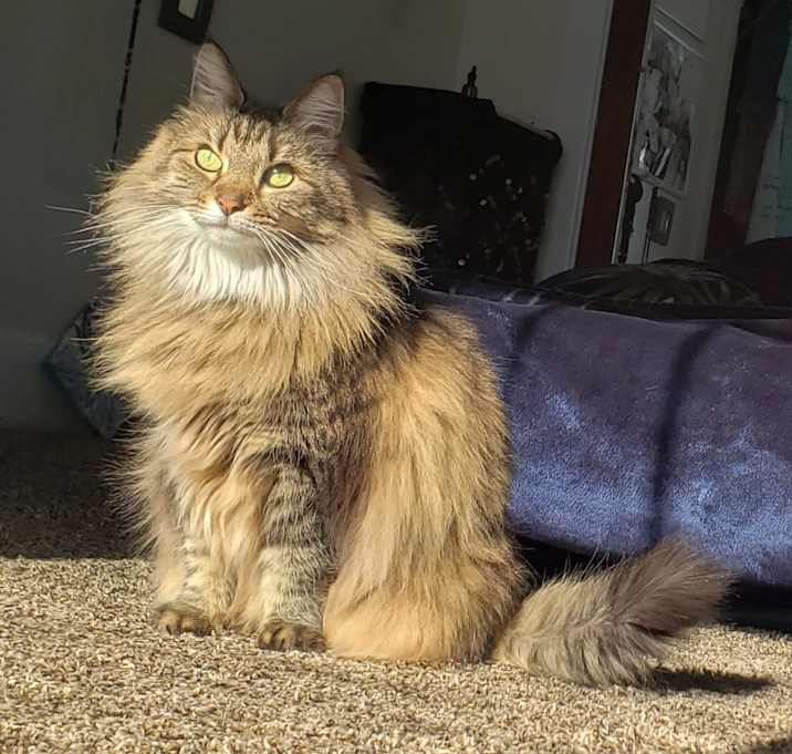 Photo of Minxy