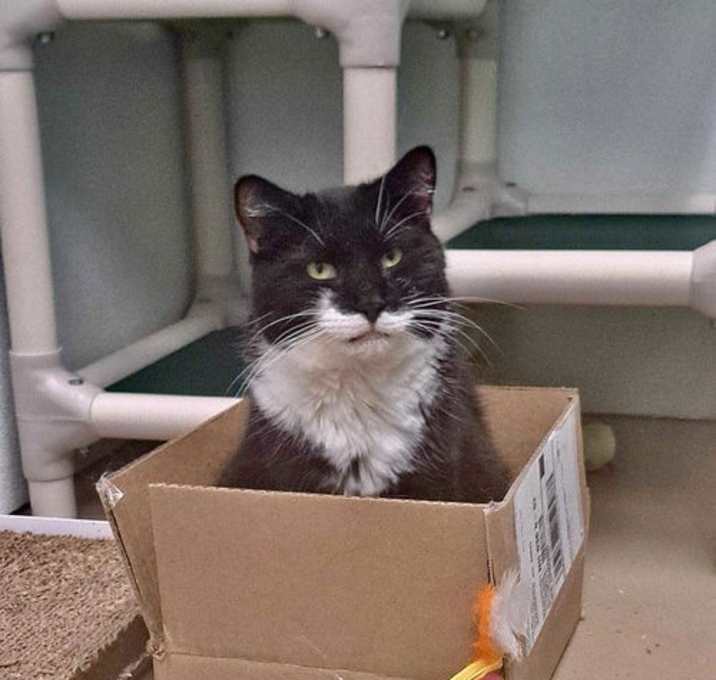 Photo of Molly AND Cecil