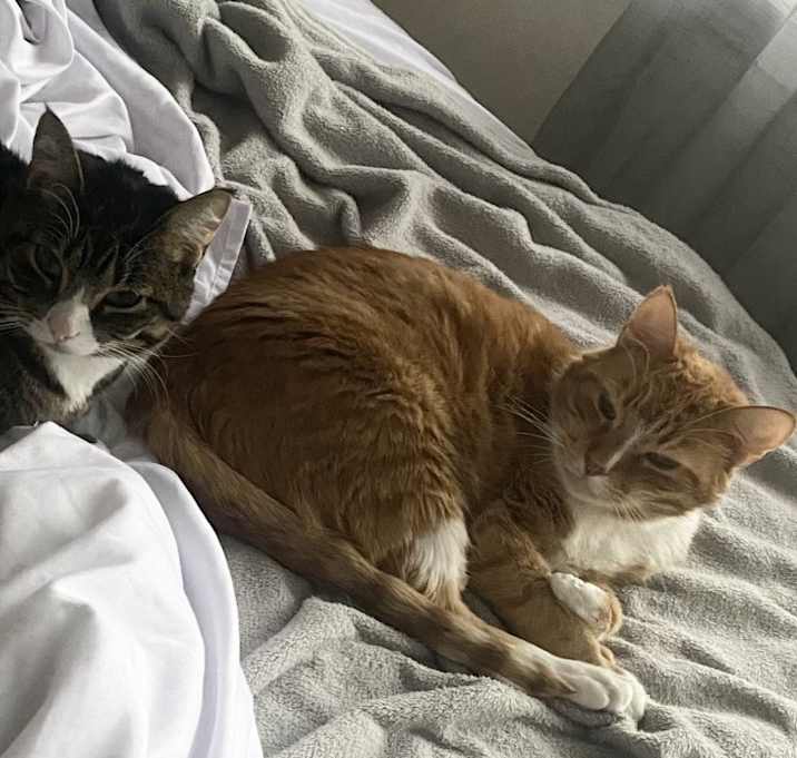 Photo of Moe & Bella
