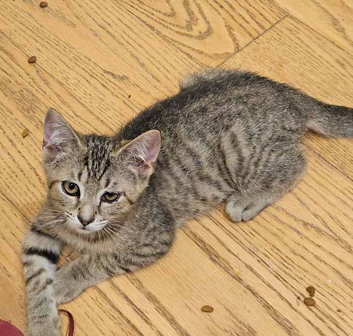 Photo of Belle