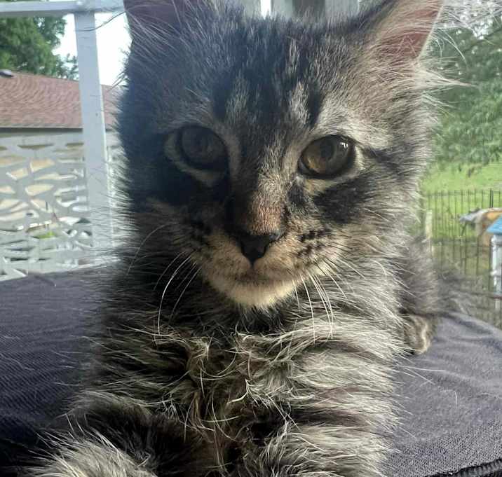 Photo of Stanley