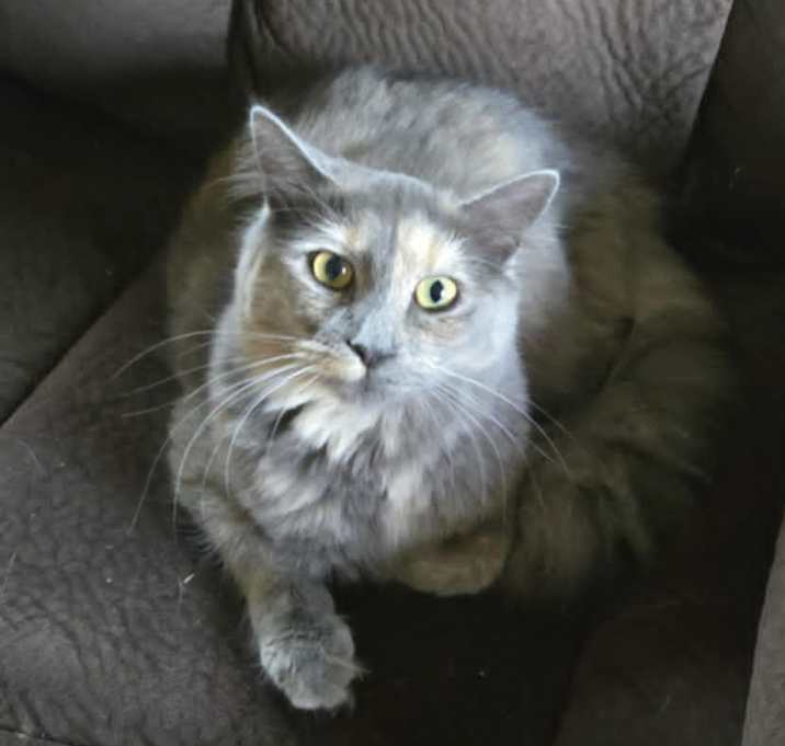 Photo of Patsy