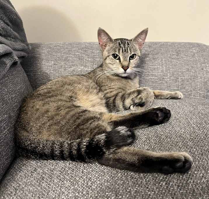 Photo of Mia