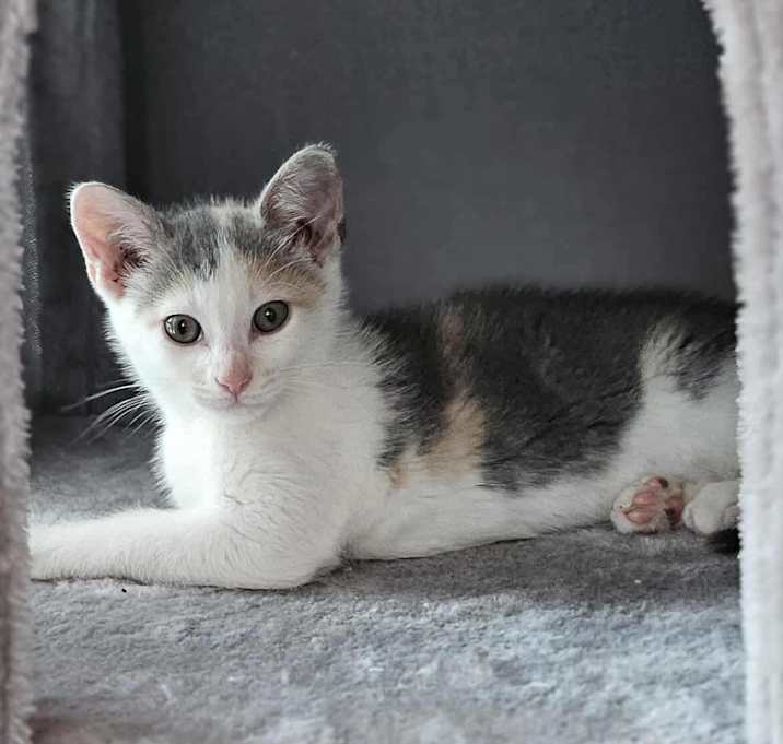 Photo of Elphaba