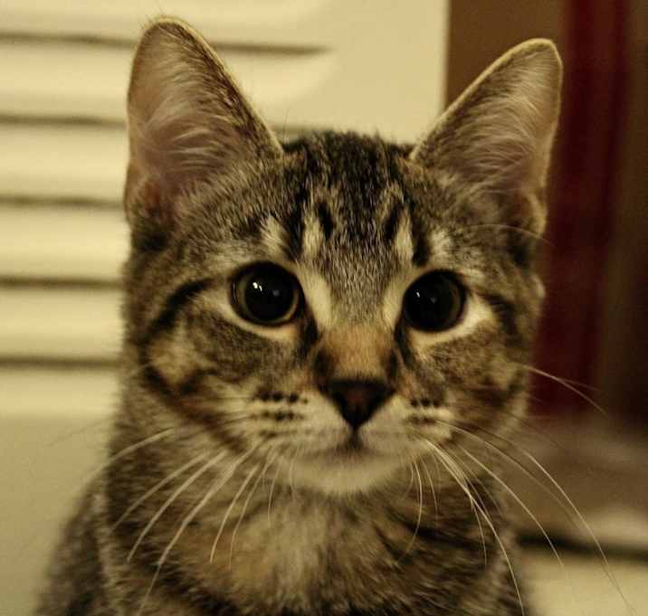 Photo of Sasha