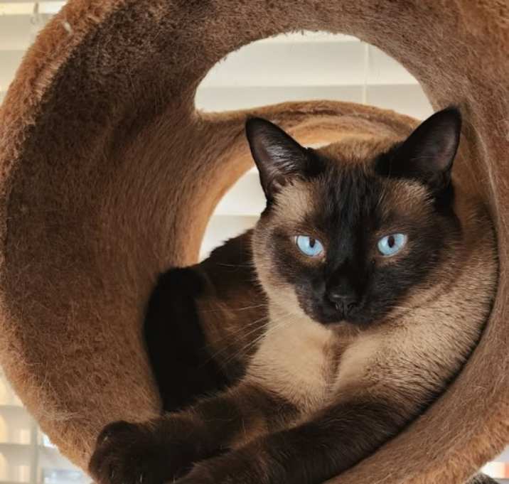 Photo of Syl