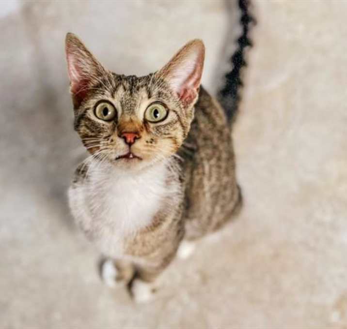 Photo of SANDY