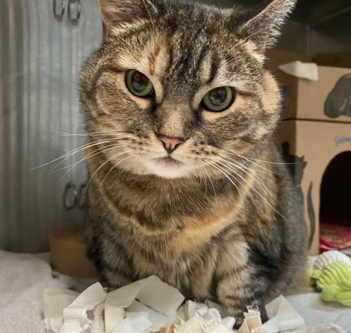Photo of Tubs