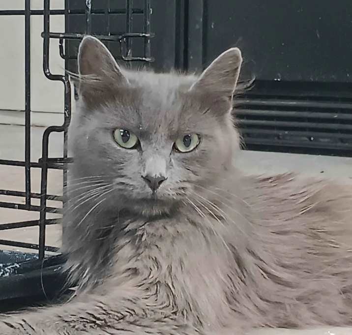 Photo of Mazey