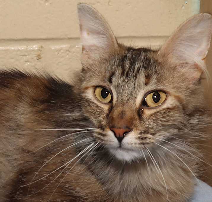 Photo of Tabitha