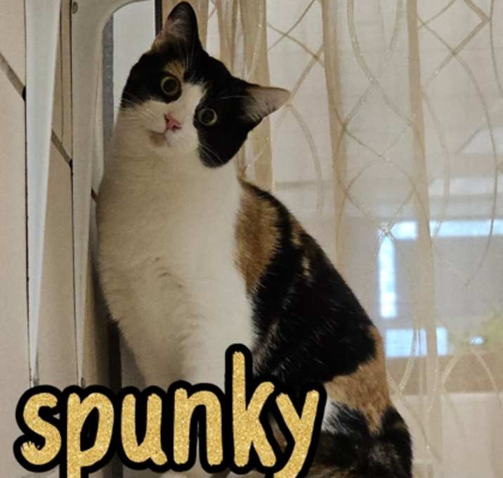 Photo of Spunky