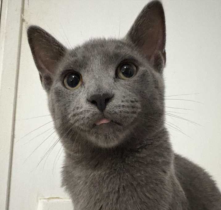 Photo of Penelope