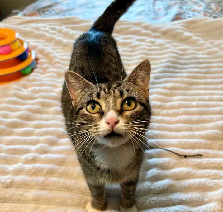 Photo of Maeve