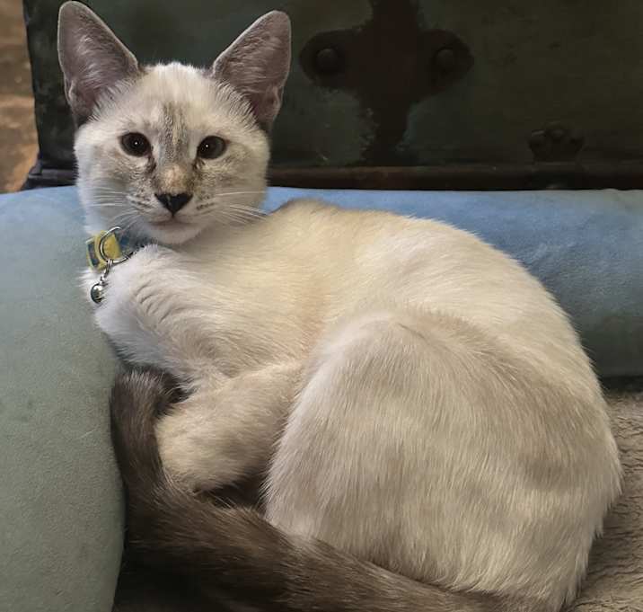 Photo of Mercury