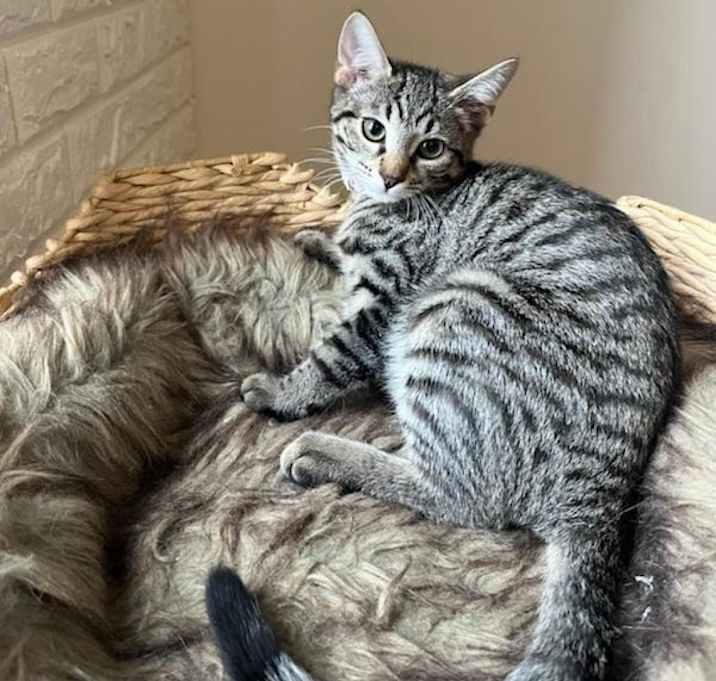 Photo of Orbit
