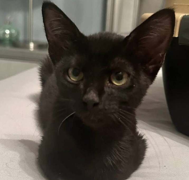 Photo of Salem