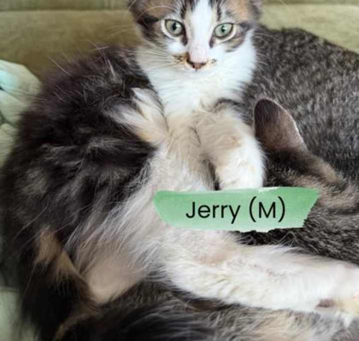 Photo of Jerry