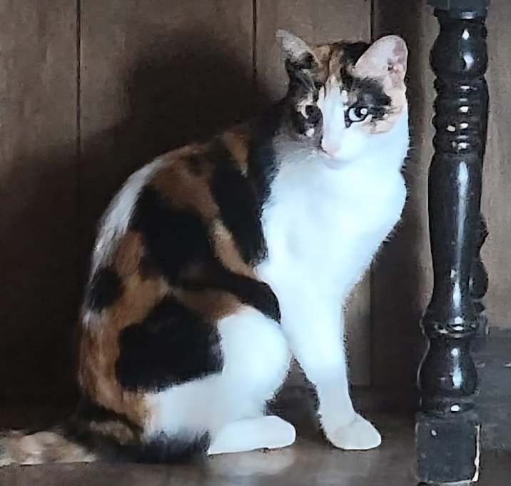 Photo of Mimi
