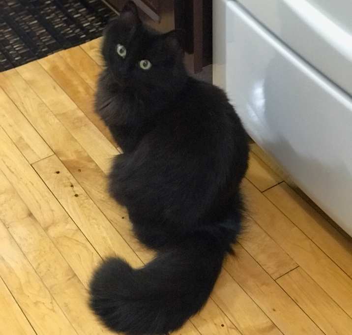 Photo of Cleopatra
