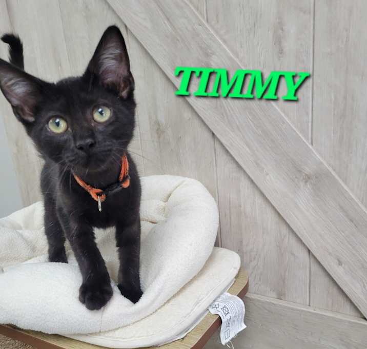 Photo of Timmy