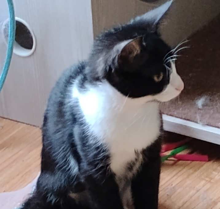 Photo of TINA