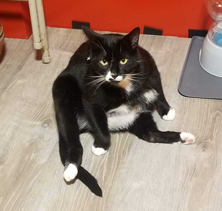 Photo of Ramses