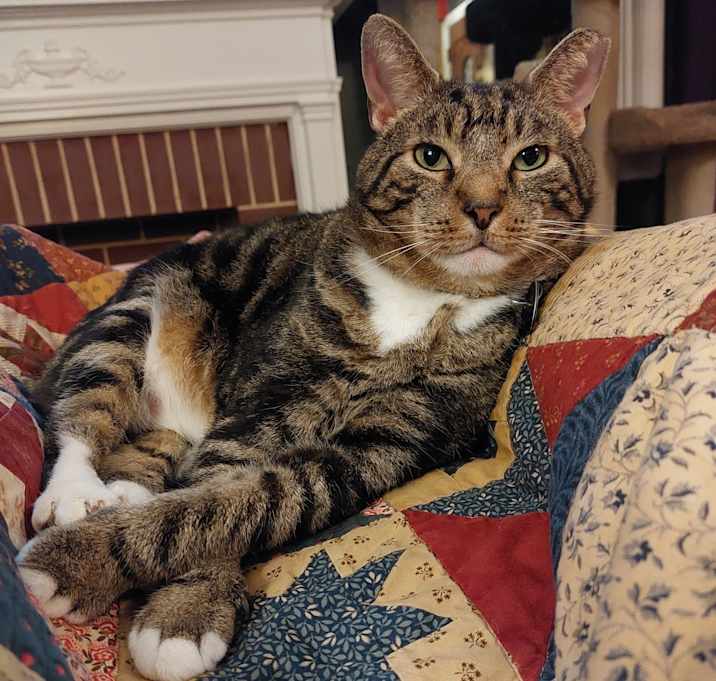Photo of Sassafras Swirl