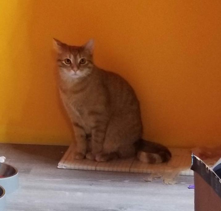 Photo of Cleo