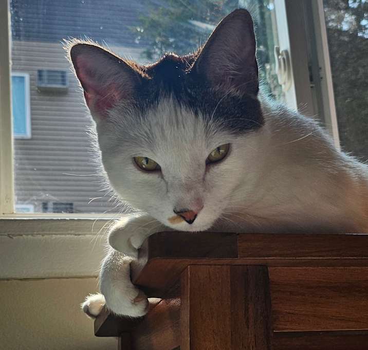 Photo of Jasper
