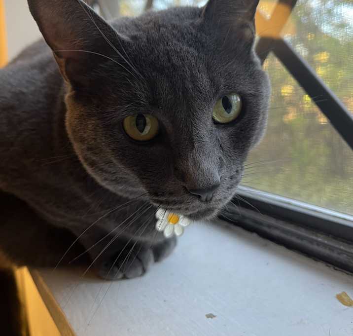 Photo of Olivia